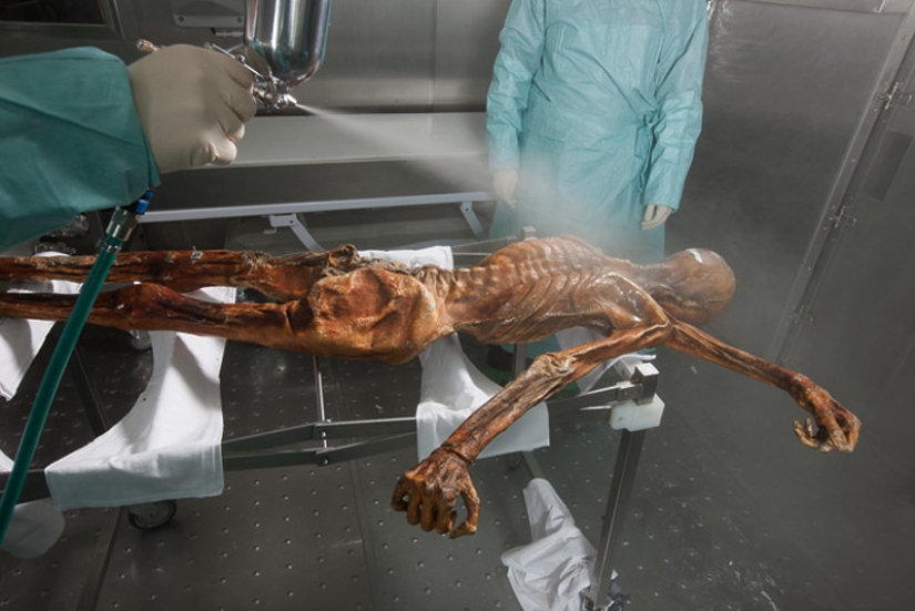 Etzi's "Ice Man" and his story Etzi's "Ice Man" and his story