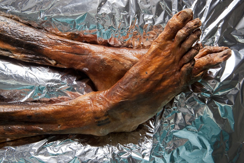 Etzi's "Ice Man" and his story Etzi's "Ice Man" and his story