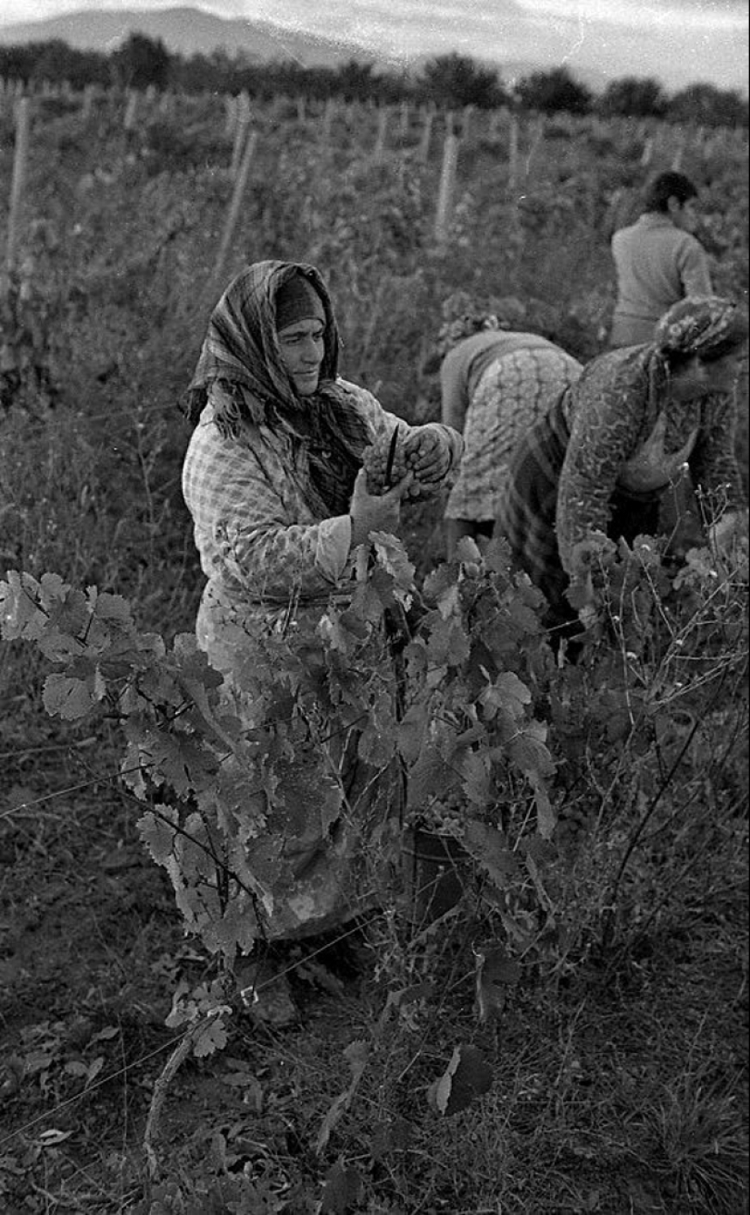 Everyday life in Soviet Georgia in 1976, captured by a Swedish photographer Everyday life in Soviet Georgia in 1976, captured by a Swedish photographer