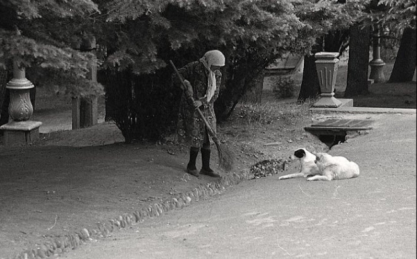 Everyday life in Soviet Georgia in 1976, captured by a Swedish photographer Everyday life in Soviet Georgia in 1976, captured by a Swedish photographer
