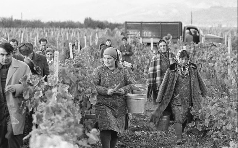 Everyday life in Soviet Georgia in 1976, captured by a Swedish photographer Everyday life in Soviet Georgia in 1976, captured by a Swedish photographer