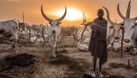 Everyday life of the Dinka people of Africa: women who do not recognize clothes, defeated cancer and buffaloes Everyday life of the Dinka people of Africa: women who do not recognize clothes, defeated cancer and buffaloes