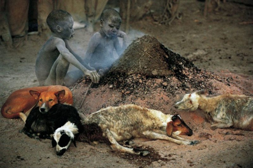 Everyday life of the Dinka people of Africa: women who do not recognize clothes, defeated cancer and buffaloes