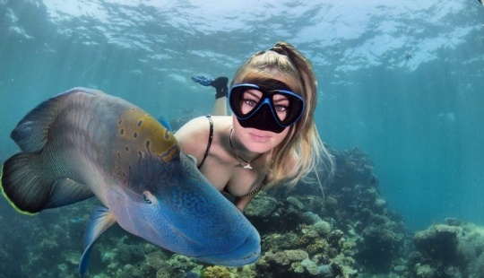 Everyone calls her the pictures with photoshop, but they are real: amazing footage of a diver and the underwater world