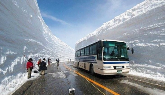 Everything is learned in comparison — 20 things, the real size of which we did not suspect