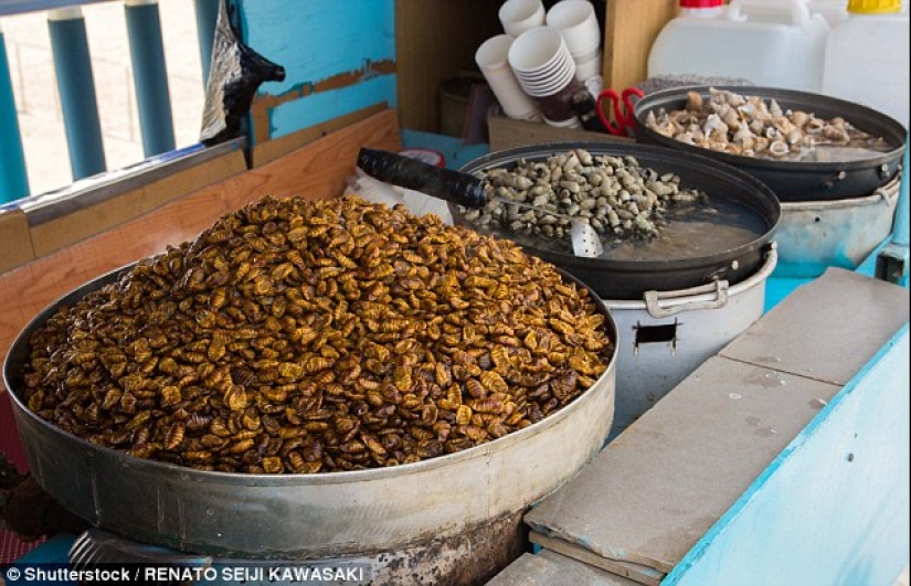 Exotic delicacies that are difficult to eat without closing your eyes Exotic delicacies that are difficult to eat without closing your eyes