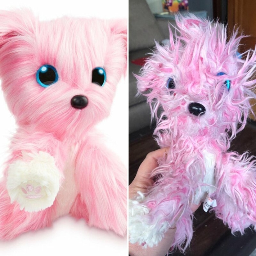 Expectation and reality: 25 incredible online shopping Expectation and reality: 25 incredible online shopping