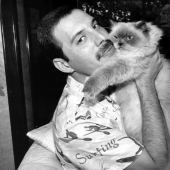 Famosos amantes de los gatos: personajes famosos y sus Mascotas