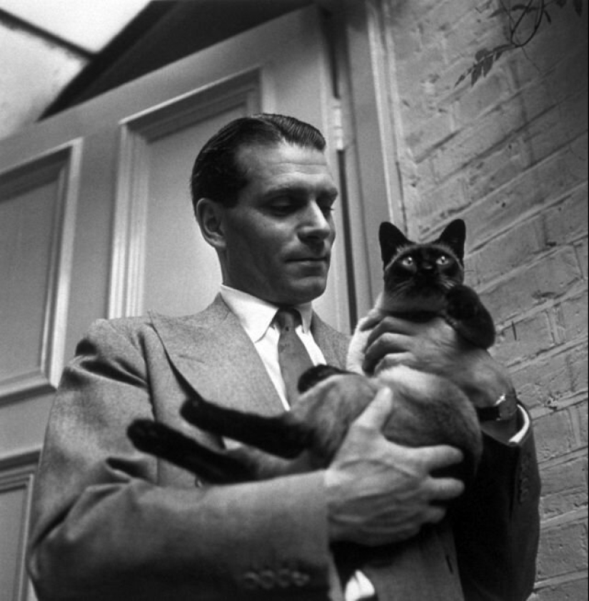 Famosos amantes de los gatos: personajes famosos y sus Mascotas