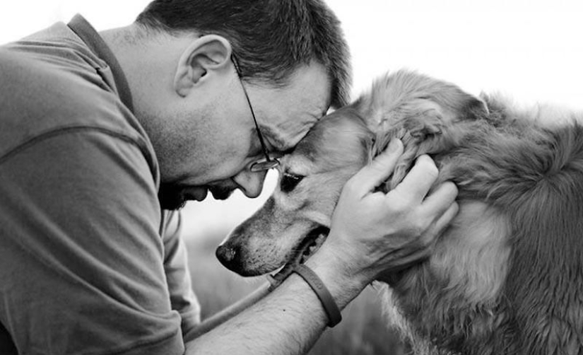 Farewell forever: the photographer captures the last moment of love between the owner and the dog before euthanasia Farewell forever: the photographer captures the last moment of love between the owner and the dog before euthanasia