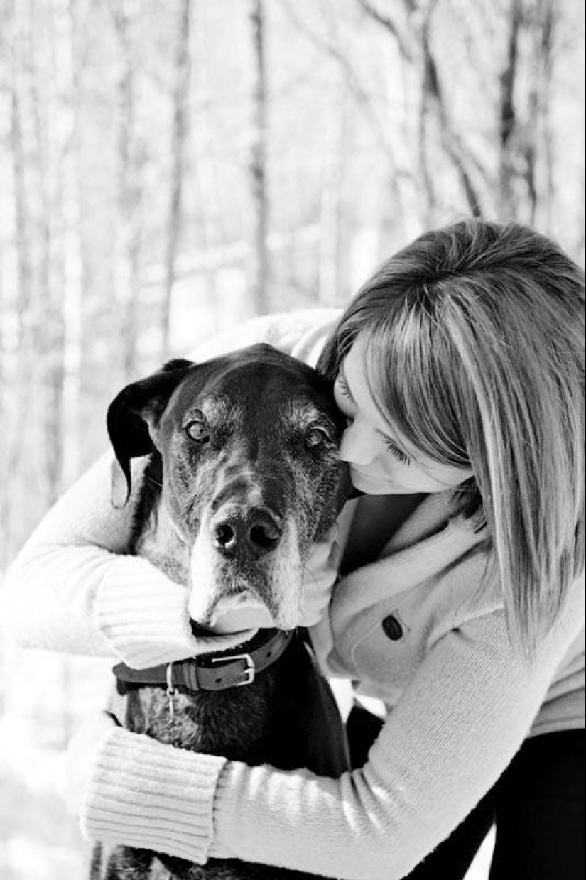 Farewell forever: the photographer captures the last moment of love between the owner and the dog before euthanasia Farewell forever: the photographer captures the last moment of love between the owner and the dog before euthanasia
