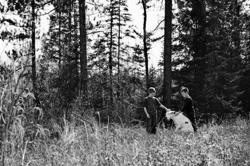 Farewell forever: the photographer captures the last moment of love between the owner and the dog before euthanasia Farewell forever: the photographer captures the last moment of love between the owner and the dog before euthanasia