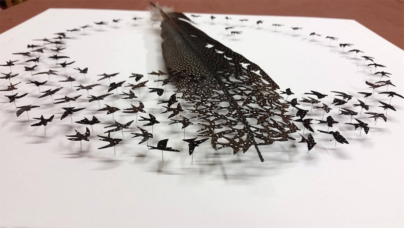 Feathers as art