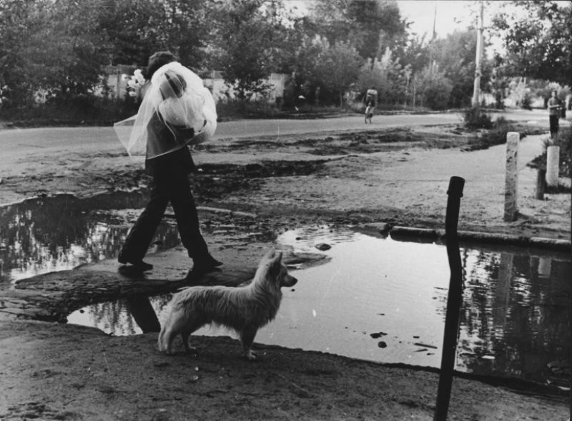 Features of a Soviet-style wedding celebration Features of a Soviet-style wedding celebration