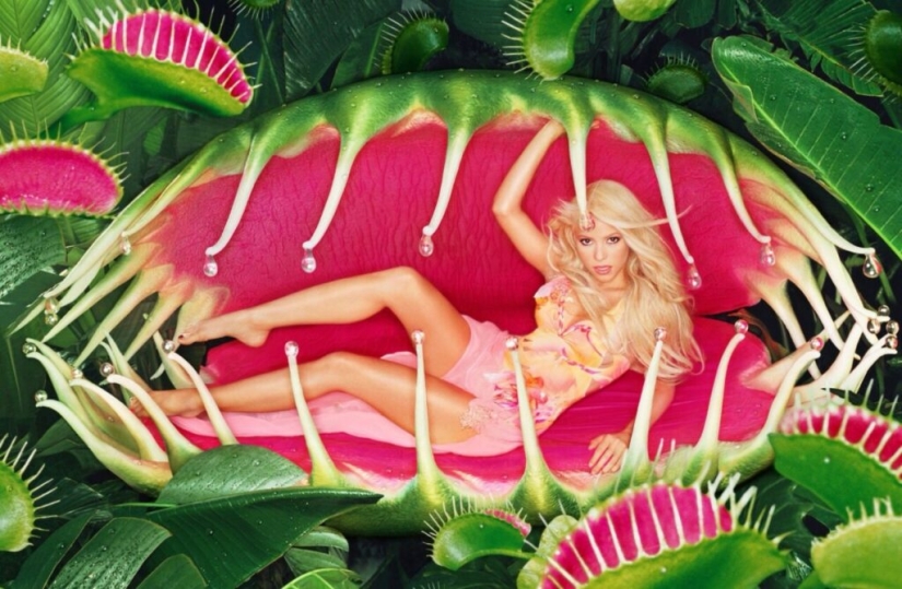 Fellini with a Camera: David LaChapelle's Visual Parables