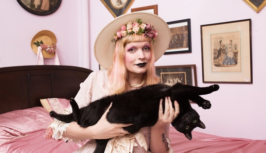 Female Cats