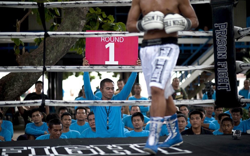 Fight clubs in Thai prisons