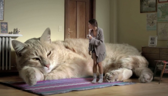 Five countries without central heating