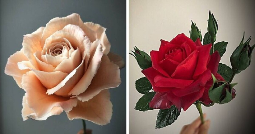 Flowers out of sugar: 30 stunning work from Michelle Nguyen Flowers out of sugar: 30 stunning work from Michelle Nguyen