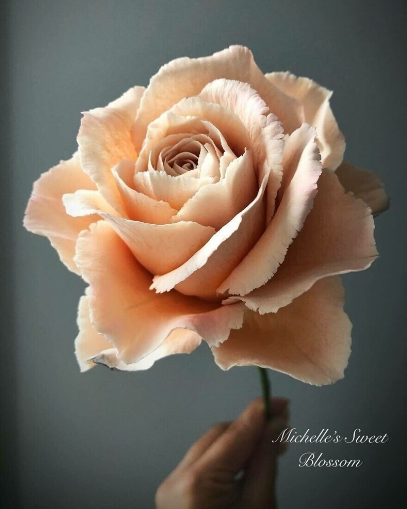 Flowers out of sugar: 30 stunning work from Michelle Nguyen Flowers out of sugar: 30 stunning work from Michelle Nguyen