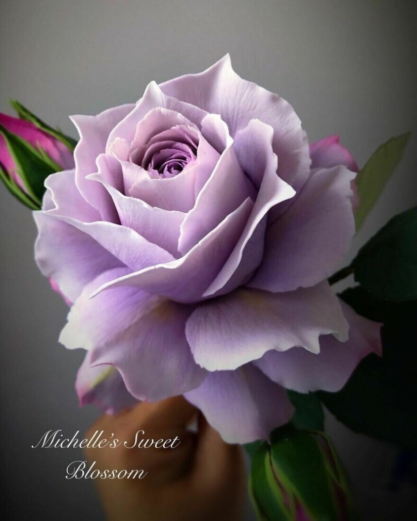 Flowers out of sugar: 30 stunning work from Michelle Nguyen Flowers out of sugar: 30 stunning work from Michelle Nguyen