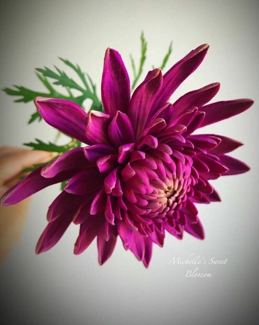 Flowers out of sugar: 30 stunning work from Michelle Nguyen Flowers out of sugar: 30 stunning work from Michelle Nguyen