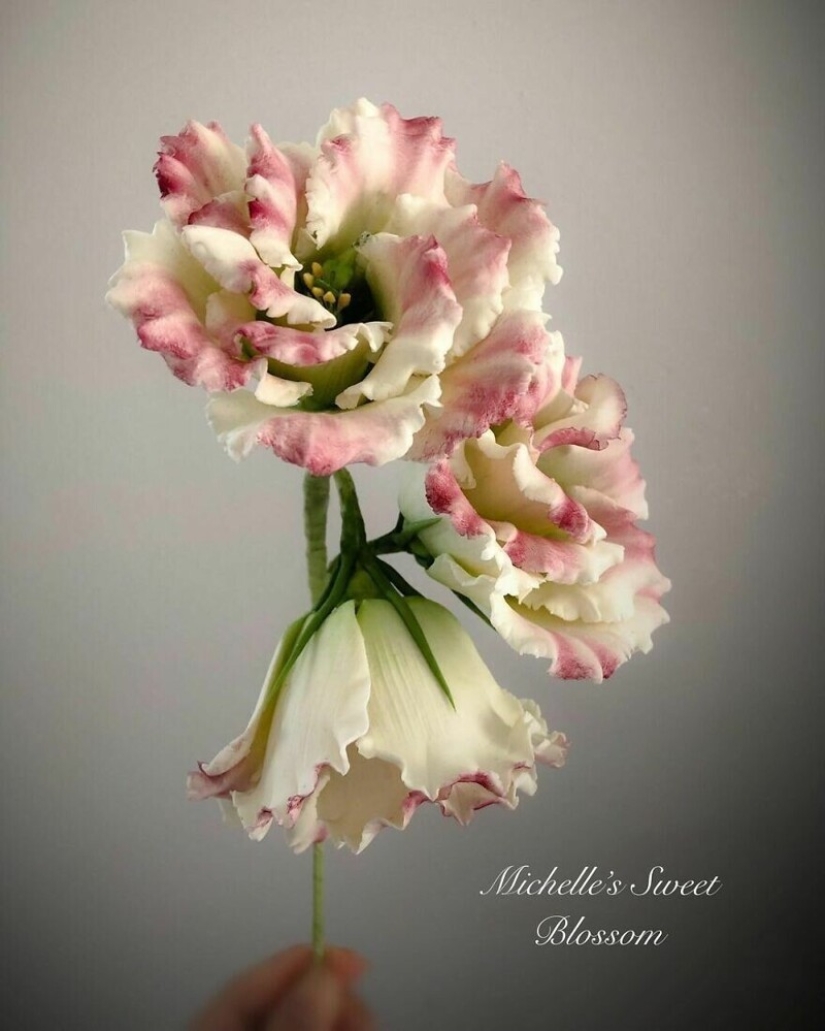 Flowers out of sugar: 30 stunning work from Michelle Nguyen Flowers out of sugar: 30 stunning work from Michelle Nguyen