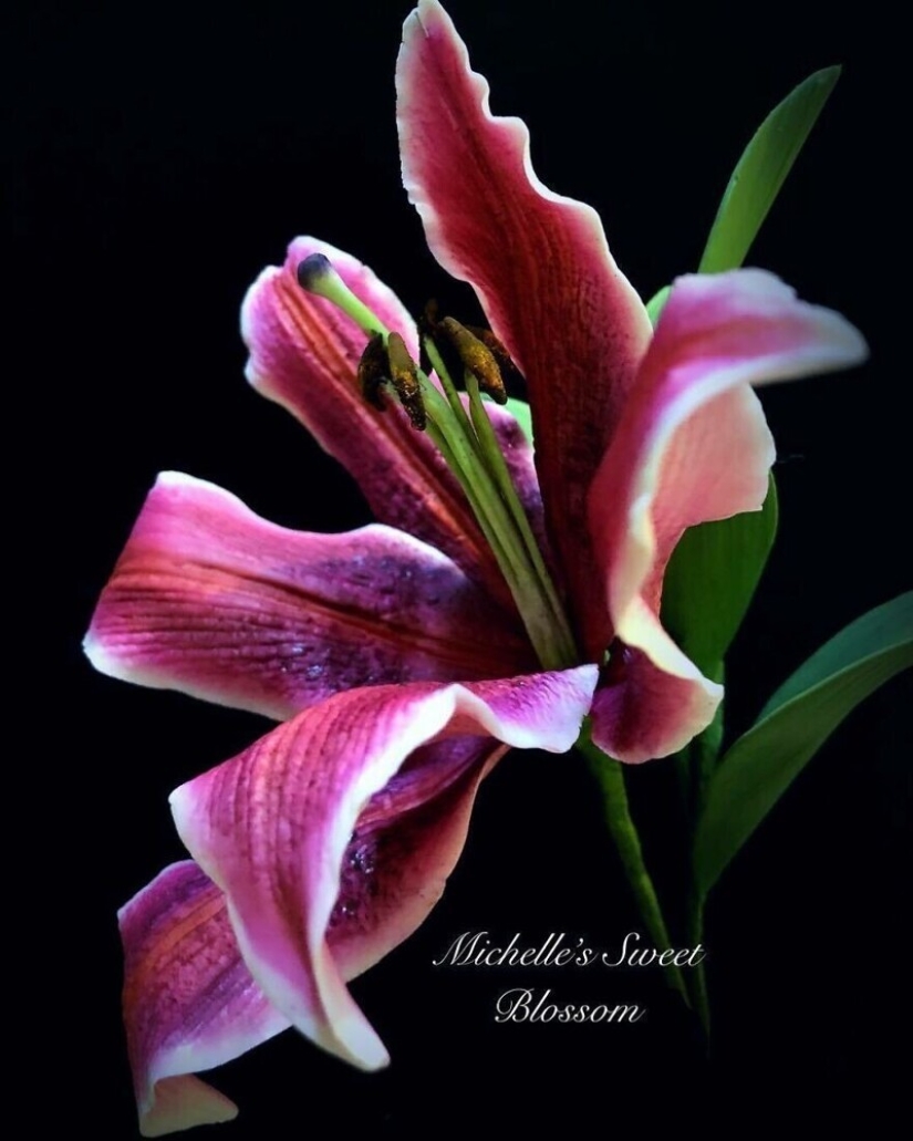 Flowers out of sugar: 30 stunning work from Michelle Nguyen Flowers out of sugar: 30 stunning work from Michelle Nguyen