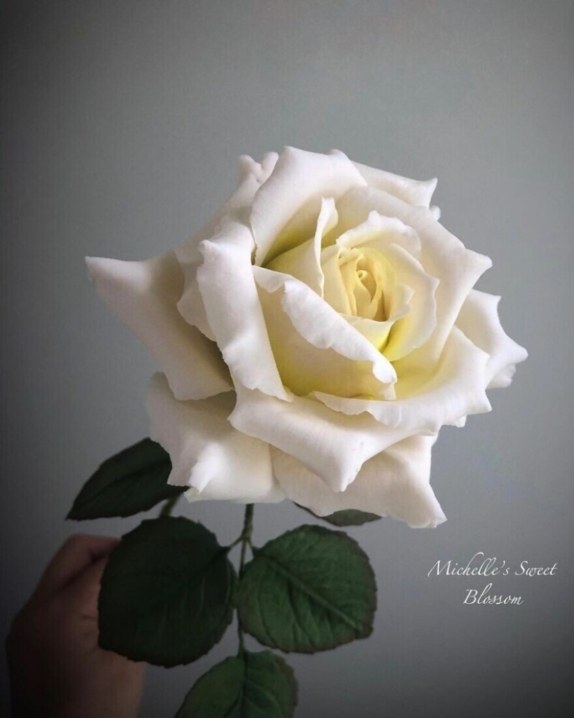 Flowers out of sugar: 30 stunning work from Michelle Nguyen Flowers out of sugar: 30 stunning work from Michelle Nguyen