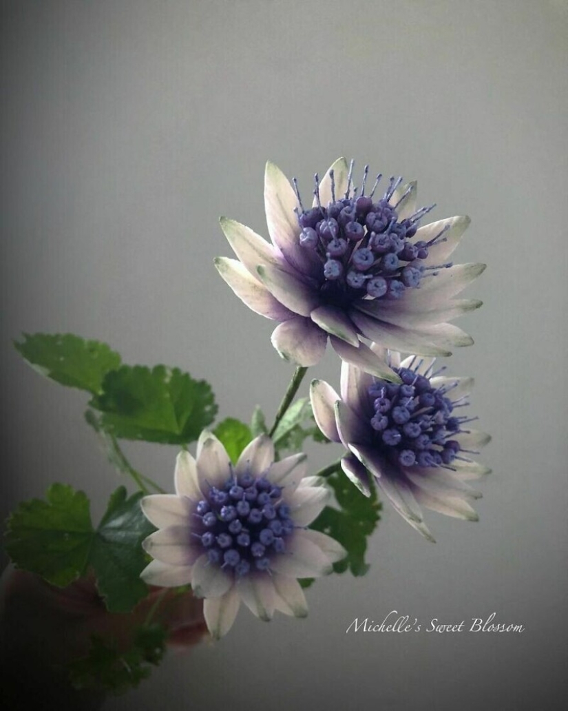 Flowers out of sugar: 30 stunning work from Michelle Nguyen Flowers out of sugar: 30 stunning work from Michelle Nguyen