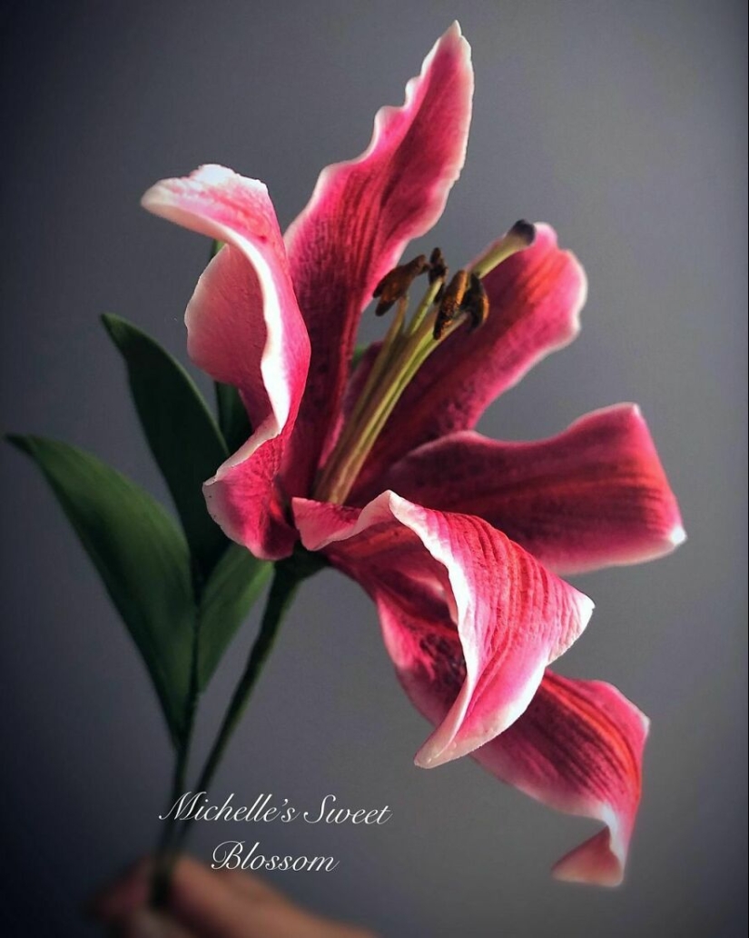 Flowers out of sugar: 30 stunning work from Michelle Nguyen Flowers out of sugar: 30 stunning work from Michelle Nguyen