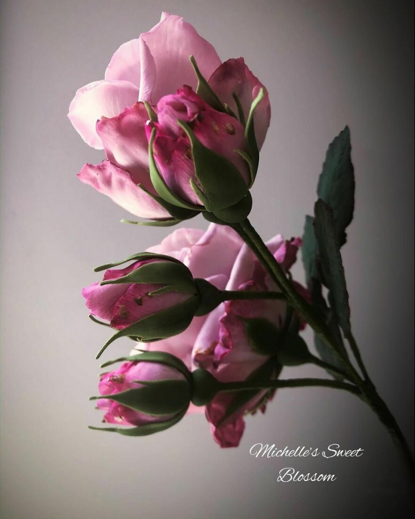 Flowers out of sugar: 30 stunning work from Michelle Nguyen Flowers out of sugar: 30 stunning work from Michelle Nguyen
