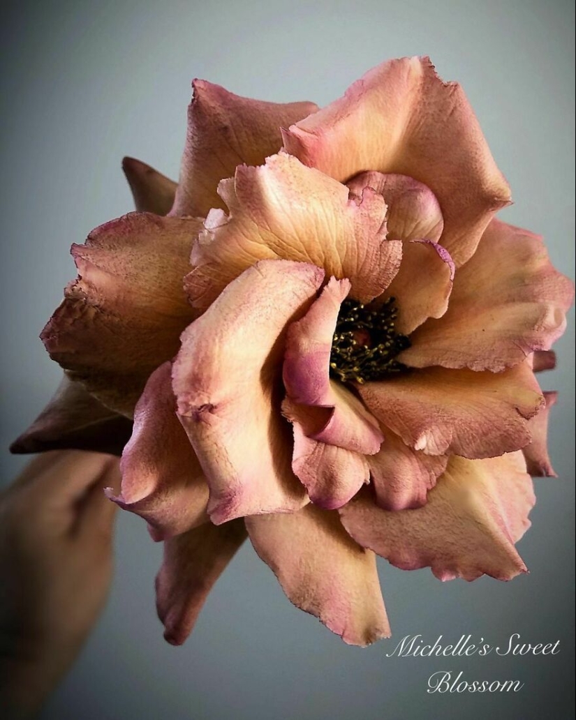 Flowers out of sugar: 30 stunning work from Michelle Nguyen Flowers out of sugar: 30 stunning work from Michelle Nguyen