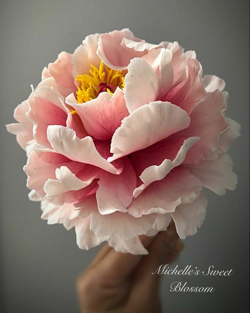Flowers out of sugar: 30 stunning work from Michelle Nguyen Flowers out of sugar: 30 stunning work from Michelle Nguyen