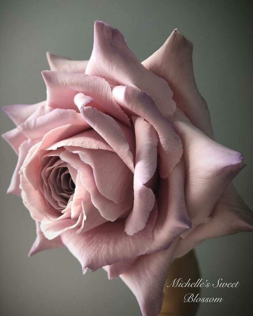 Flowers out of sugar: 30 stunning work from Michelle Nguyen Flowers out of sugar: 30 stunning work from Michelle Nguyen