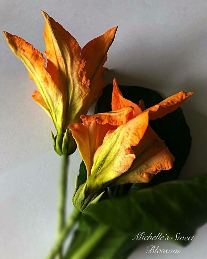 Flowers out of sugar: 30 stunning work from Michelle Nguyen Flowers out of sugar: 30 stunning work from Michelle Nguyen