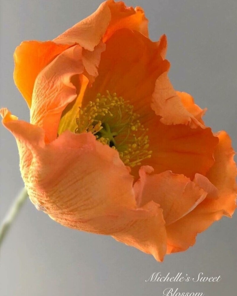 Flowers out of sugar: 30 stunning work from Michelle Nguyen Flowers out of sugar: 30 stunning work from Michelle Nguyen