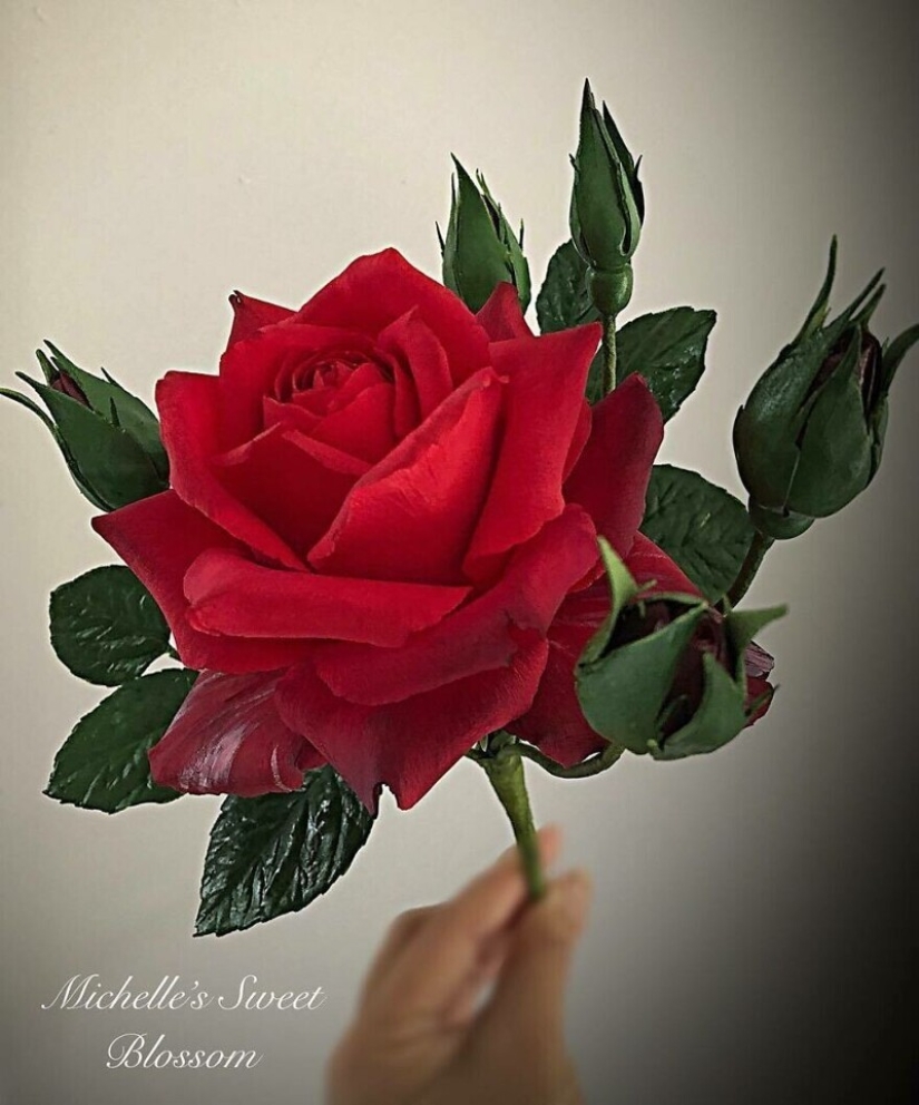 Flowers out of sugar: 30 stunning work from Michelle Nguyen Flowers out of sugar: 30 stunning work from Michelle Nguyen