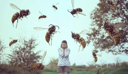 "For no particular reason?": why do wasps hate people in summer