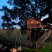 For this tree house you will give up everything and move to Tuscany