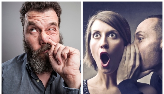 Forbidden fruit is useful: What bad habits can have a beneficial effect on health Forbidden fruit is useful: What bad habits can have a beneficial effect on health