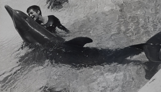 Formula of love: dolphin and student