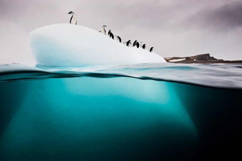 Fotografías de David Dubile: el mundo en la superficie y bajo el agua Fotografías de David Dubile: el mundo en la superficie y bajo el agua
