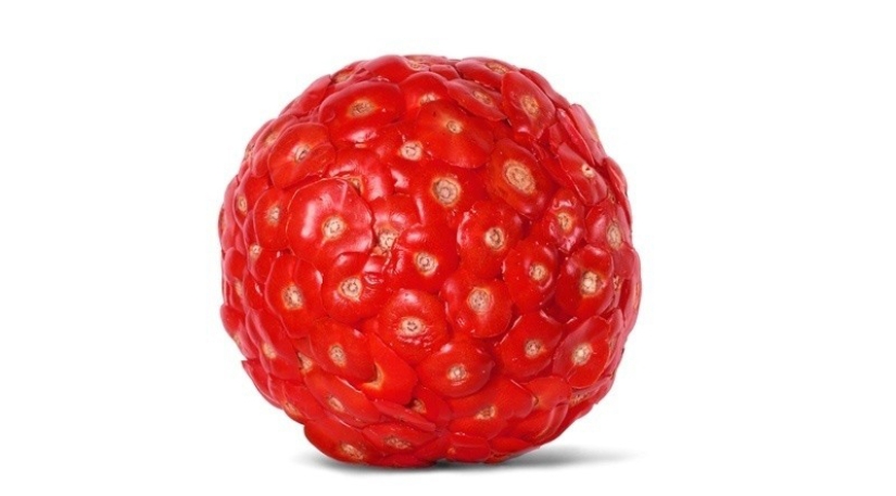 Fotos de comida antiglamorosa por Nir Adar Fotos de comida antiglamorosa por Nir Adar