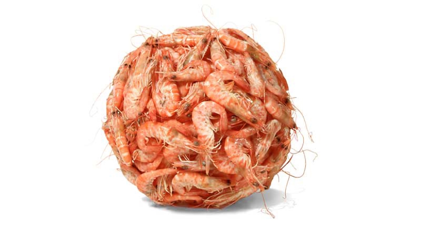 Fotos de comida antiglamorosa por Nir Adar Fotos de comida antiglamorosa por Nir Adar