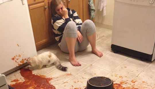 Fotos de fracasos épicos que prueban: tuviste un lunes realmente genial