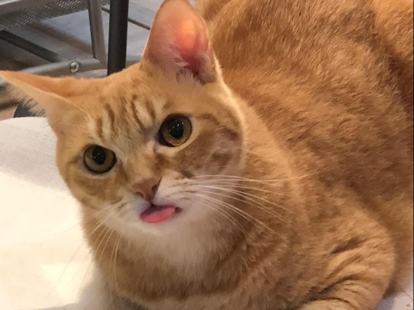 Fotos de una fractura de la perspectiva, que no es lo que piensas Fotos de una fractura de la perspectiva, que no es lo que piensas