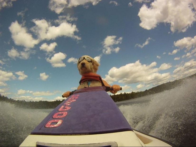 Fotos extremas tomadas con una cámara GoPro