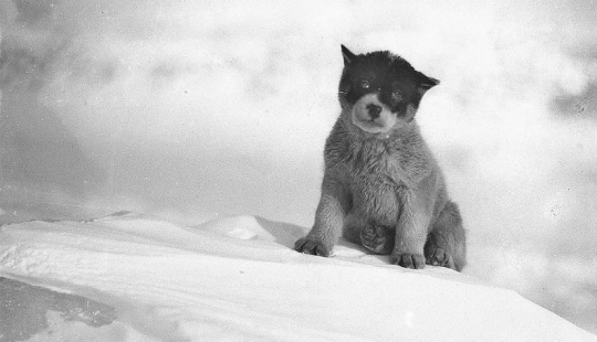 Fotos únicas de la primera Expedición Antártica Australiana de 1911-1914