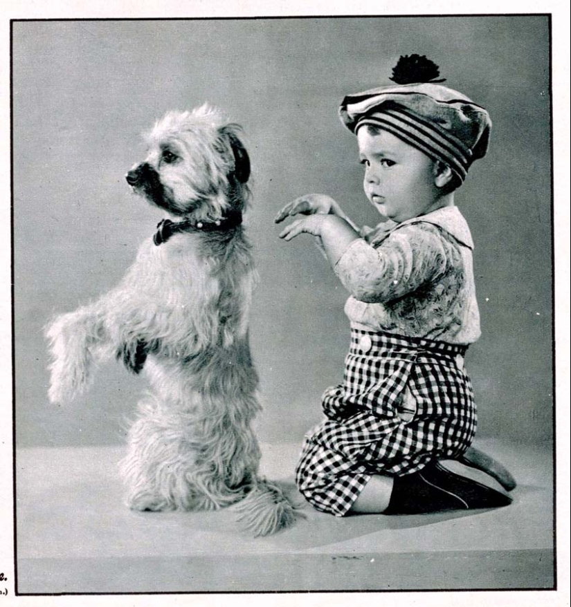 Fotos retro de animales Fotos retro de animales